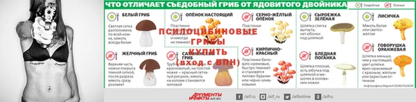 дживик Арсеньев