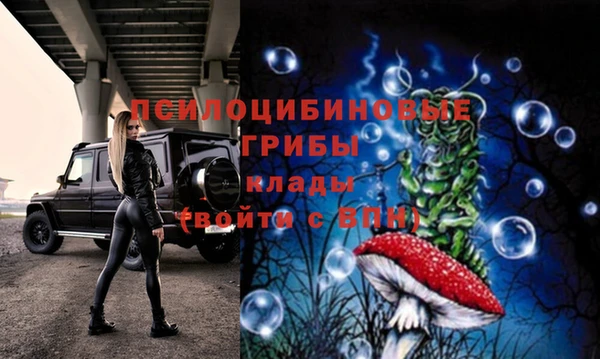 ALPHA-PVP Баксан