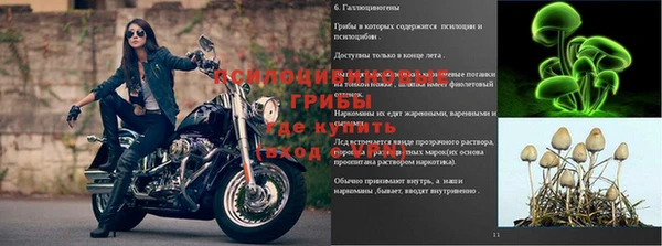 ALPHA-PVP Баксан
